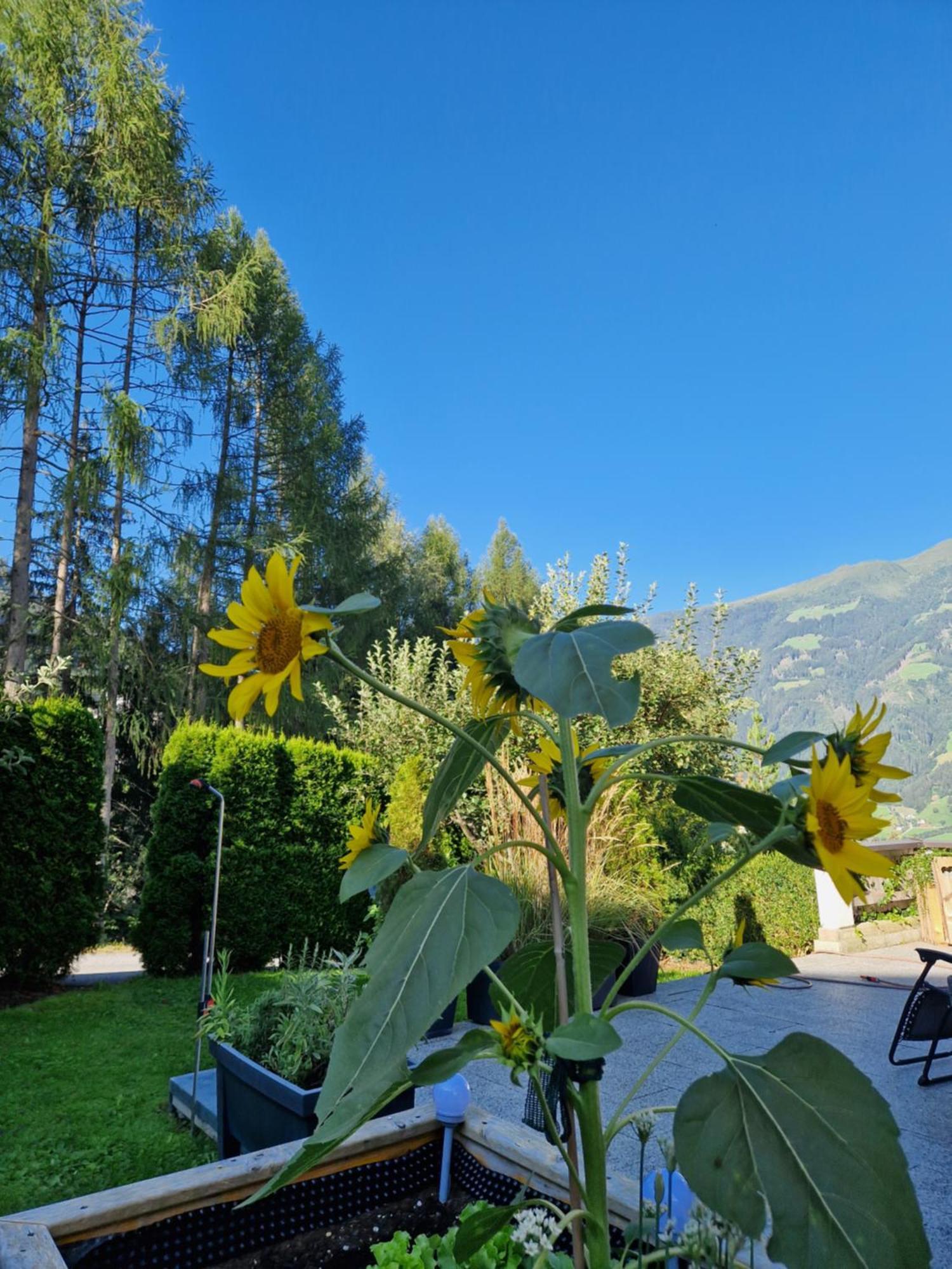 Apartamento Haus Roland Zell am Ziller Exterior foto
